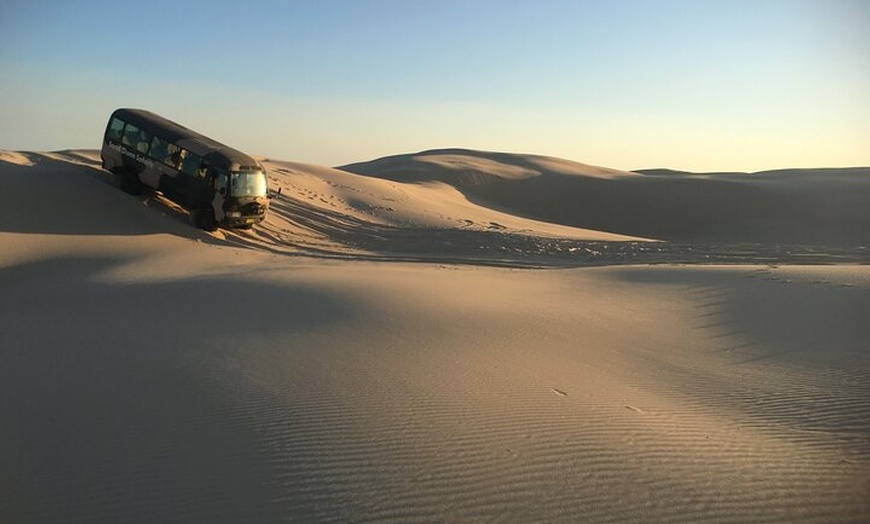 Image 11: Port Stephens Unlimited Sandboarding and Sand Surfing