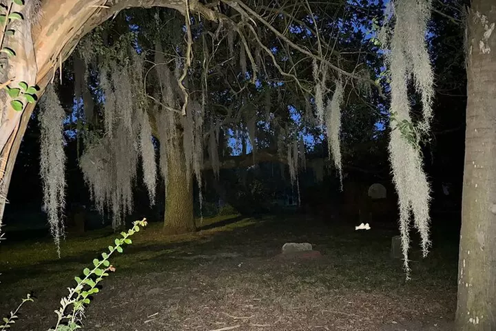 Savannah Midnight in the Garden Pub Crawl