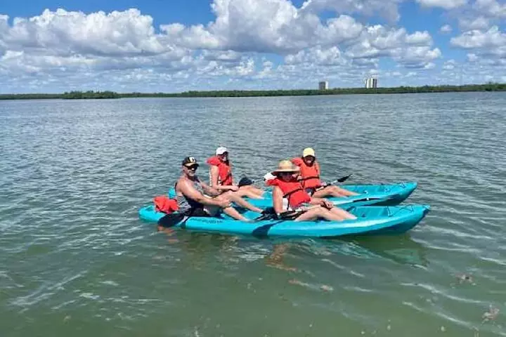 Dolphin and Manatee Kayak Tour of Daytona Beach