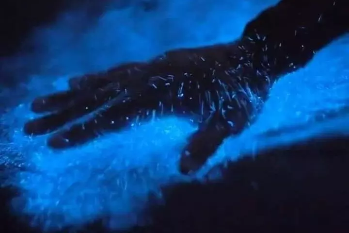 Bioluminescence Kayak Tour Near Orlando - Primary Image