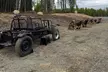 Anchorage's Authentic Dog Sledding Experience - Second Medium