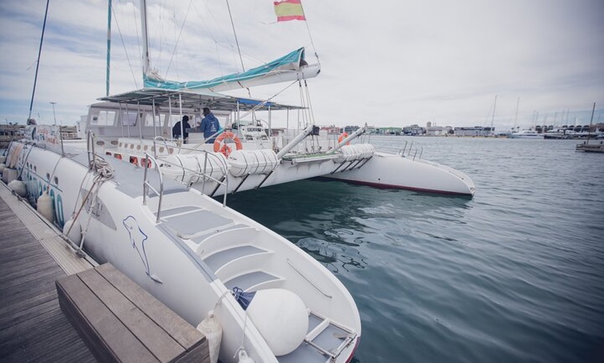 Image 11: Un día en el Mar a bordo de Catamarán Mundo Marino en Valencia