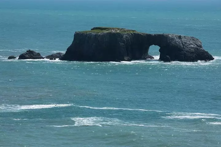 Small Group Redwoods, California Coast & Sausalito Day Trip from Sa...