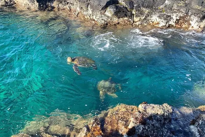 2 Tank Shore Dive at Sea Turtle Cove