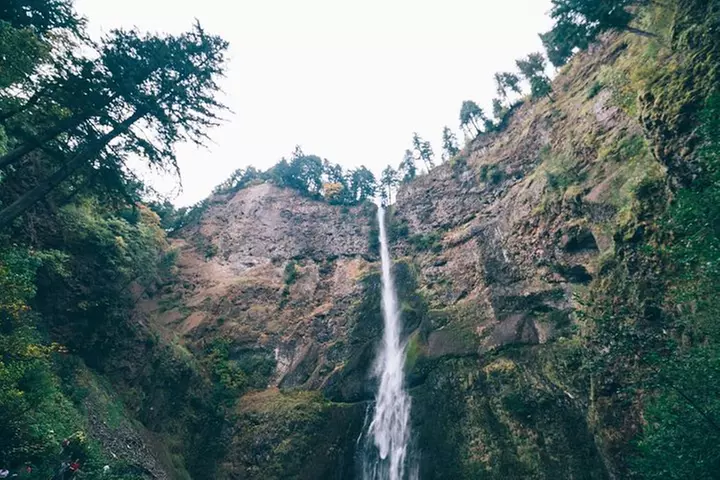 Multnomah Falls and Columbia River Gorge Waterfalls Tour Morning
