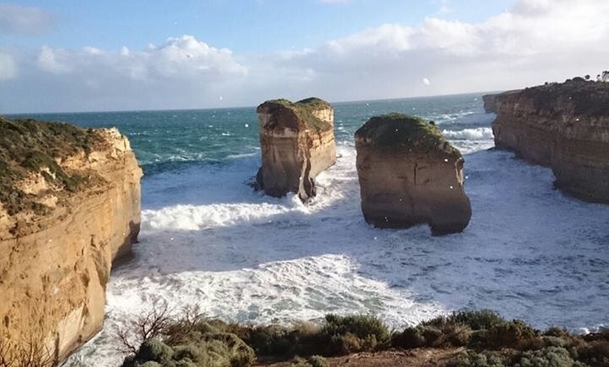 Image 9: Great Ocean Road 12 Apostles kangaroo & koala tour