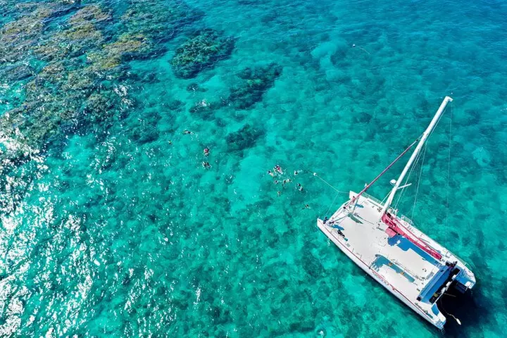 Key West 2 Reef Snorkel Tour & Sunset Cruise with Beer & Wine