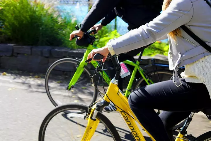 Highlights of New York City Guided Bike Tour (English or Dutch)