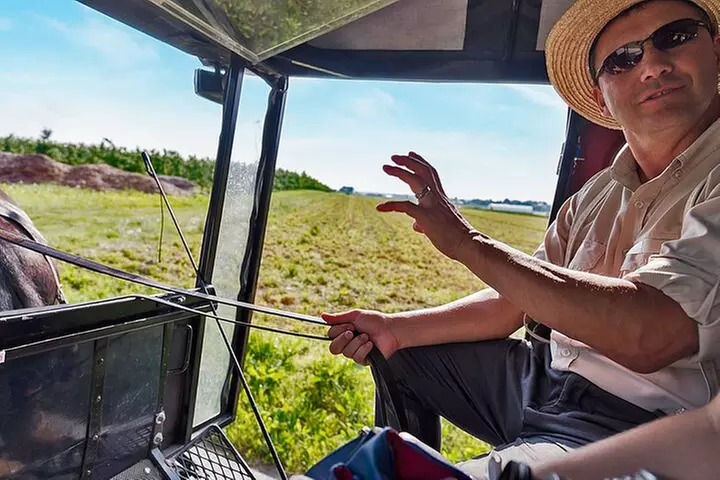 Philadelphia and Amish Country, 1-Day Tour from NYC