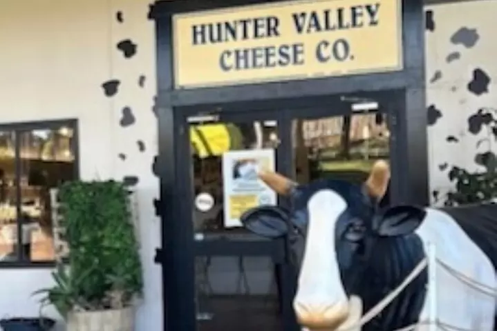 HUNTER VALLEY CHEESEBOARD TASTING - select your favourite cheeses