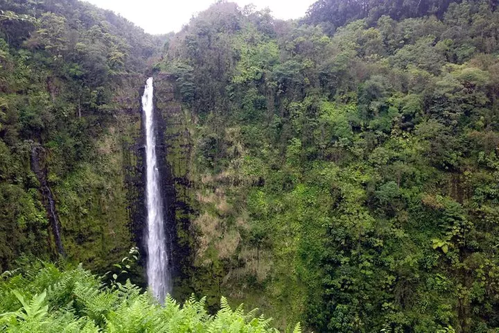Big Island Volcano Adventure from Kona: Small Group - Primary Image