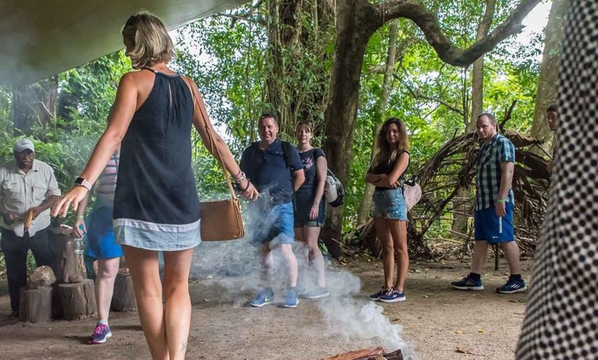 Image 5: Cape Tribulation, Mossman Gorge, and Daintree Rainforest Day Trip