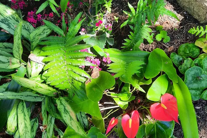 Full-Day Self Guided Electric Bike Tour of North San Diego Coast