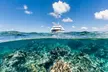 Great Barrier Reef Snorkeling and Diving Cruise from Cairns - Image 2