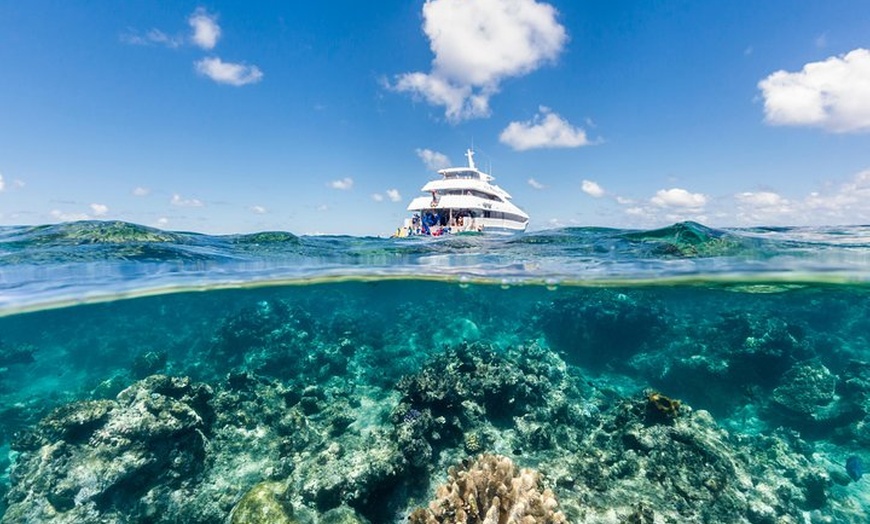 Image 2: Great Barrier Reef Snorkeling and Diving Cruise from Cairns