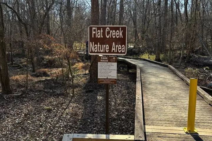 Magical Golf Cart Tour Through Peachtree City Trails