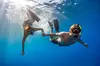 Two Site Snorkeling Adventure featuring the Molokini Crater