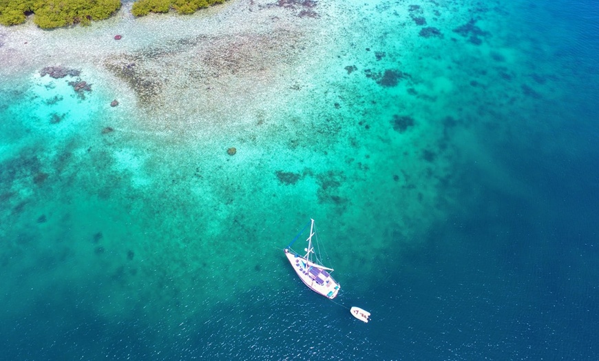 Image 15: ✈ PANAMA | Panama e Bocas del Toro - Il Panama che amo 3* - Viaggio...