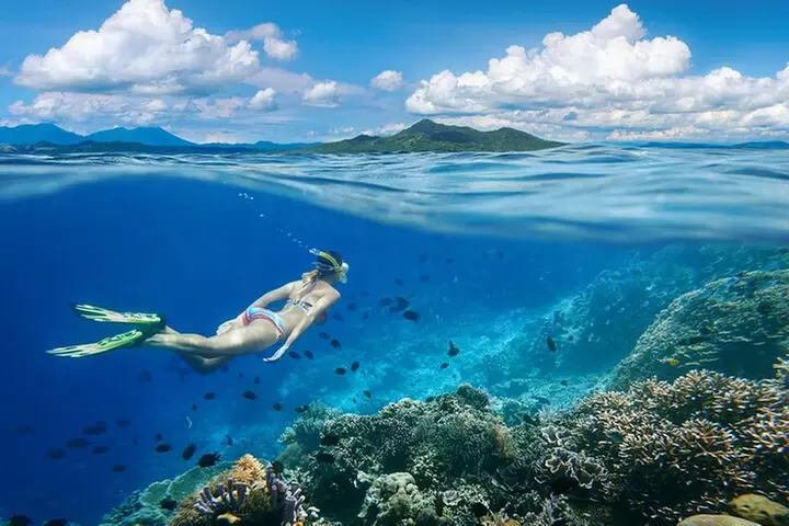 Oahu 5-in-1 Deluxe Cruise: Turtle Snorkeling & Ocean Activities