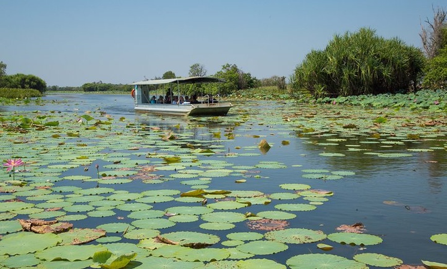 Image 4: Corroboree Billabong Wetland Cruises - 2 hour Sunset Cruise