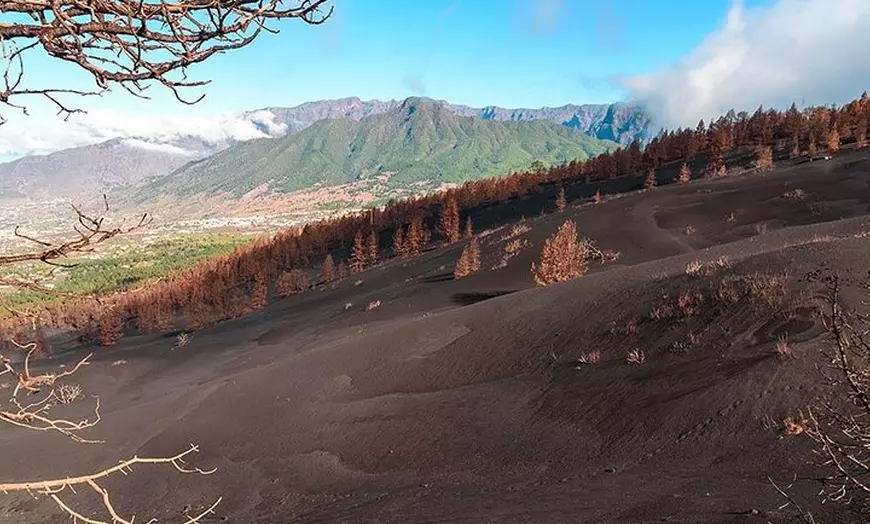 Image 8: Ruta de Senderismo Visita al Volcán Nuevo de La Palma