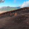Image 8: Ruta de senderismo Visita al Nuevo Volcán de La Palma