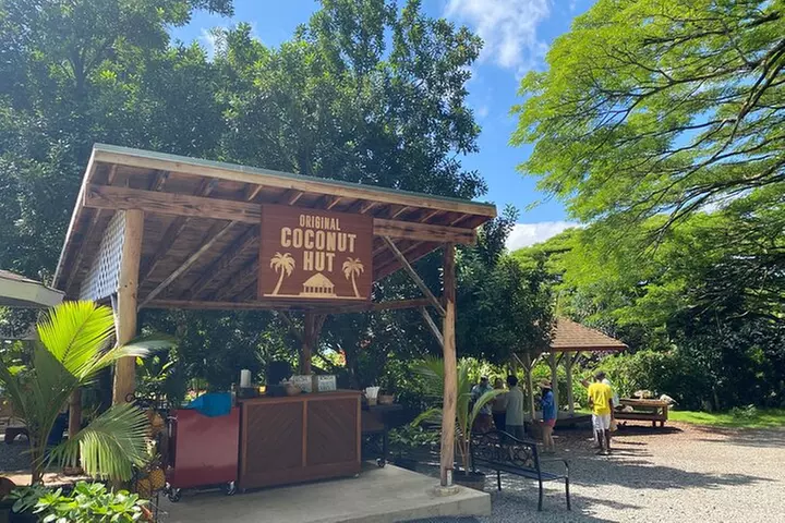 Diamond Head Hiking and Oahu Island Experience feat. North Shore