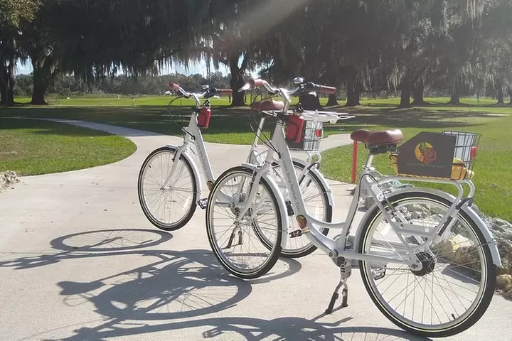 Village Bicycle Rental Free Delivery in The Villages Florida