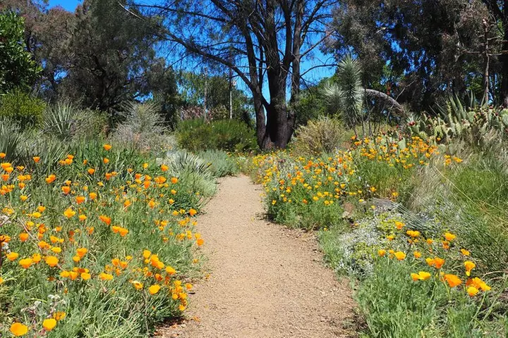 Ruth Bancroft Garden General Admission Ticket