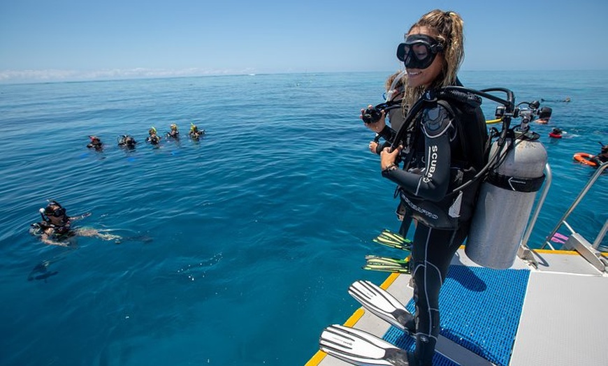 Image 13: Great Barrier Reef Snorkeling and Diving Cruise from Cairns