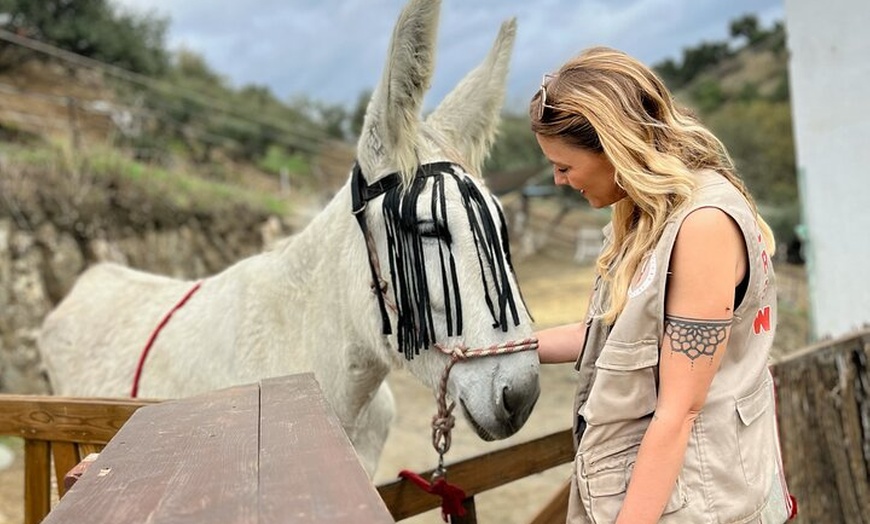 Image 2: Caminando con Nuestros Burros de Rescate