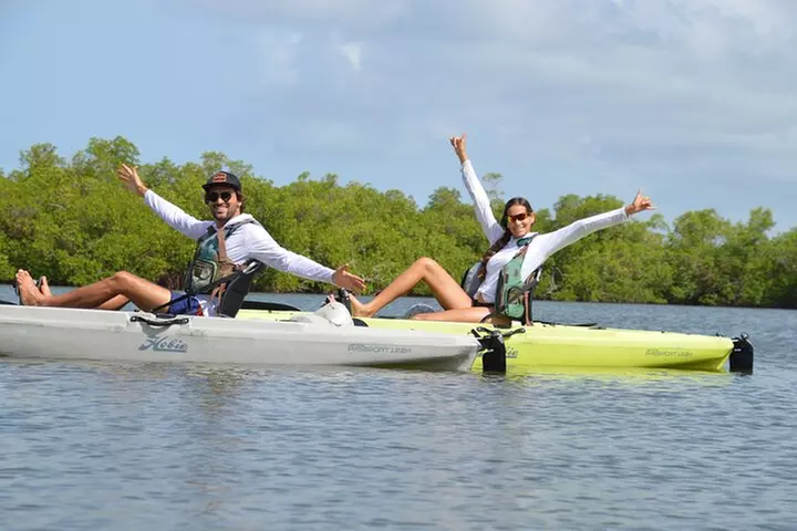 Deluxe Kayak Tour Marco Island and Naples, Florida