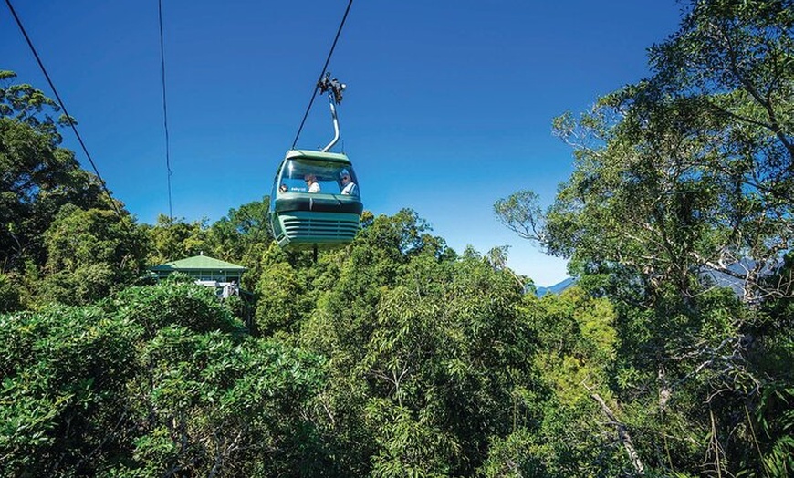 Image 21: Small Group Kuranda Tour via Kuranda Scenic Rail and Skyrail