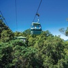 Image 21: Small Group Kuranda Tour via Kuranda Scenic Rail and Skyrail