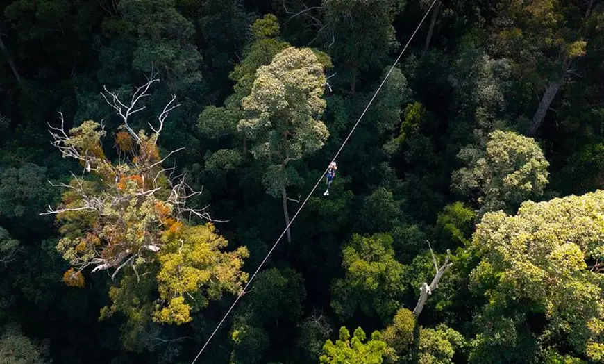 Image 8: Gold Coast Canyon Flyer Zipline Tour