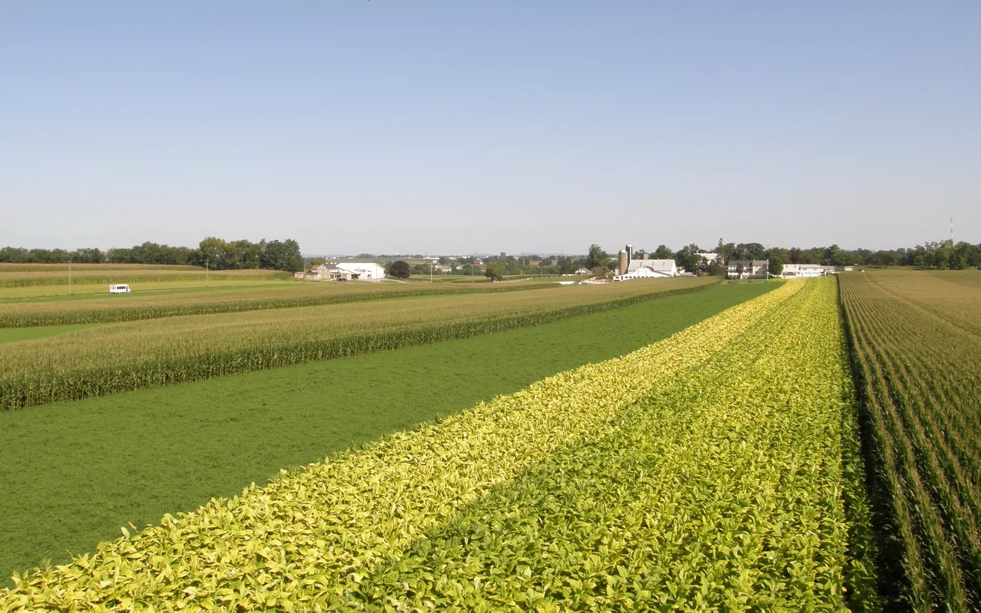 Amish Experience: Bird in Hand Farmlands Tour - Second Medium