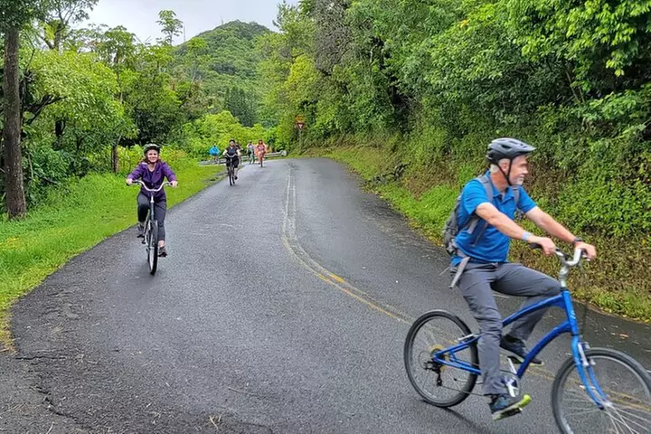 Downhill Bike and Ko'olau Waterfall Hike Tour - Primary Image