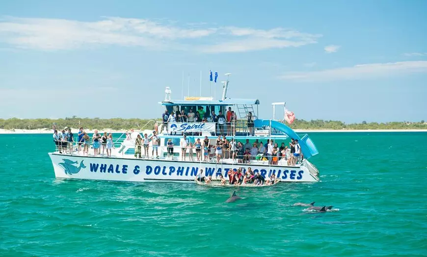 Image 1: Port Stephens: Splash 'n' Slide Dolphin Cruise