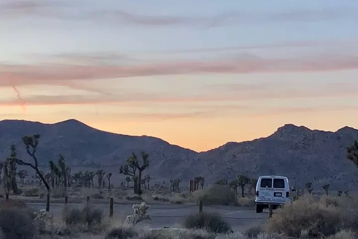 Joshua Tree National Park Driving Tour
