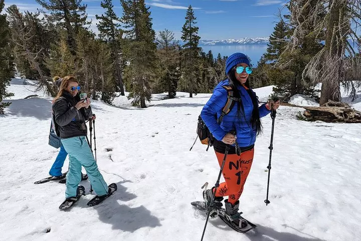 Chickadee Ridge Beginner Snowshoe Activity