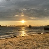 Image 3: Sydney: Golden Hour City Escape with Sunset, Picnic and Photos