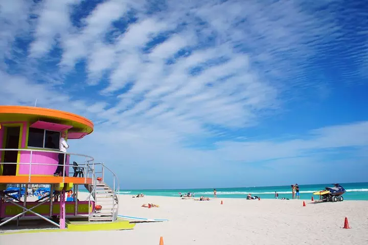 Discover Miami: Full-Day Tour plus Dolphin Mall Shopping
