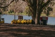 Kayak Rental (2hr) - Blue Spring State Park - Second Medium
