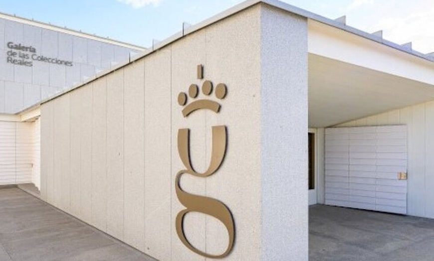 Image 4: Tour Guiado por la Galería de las Colecciones Reales