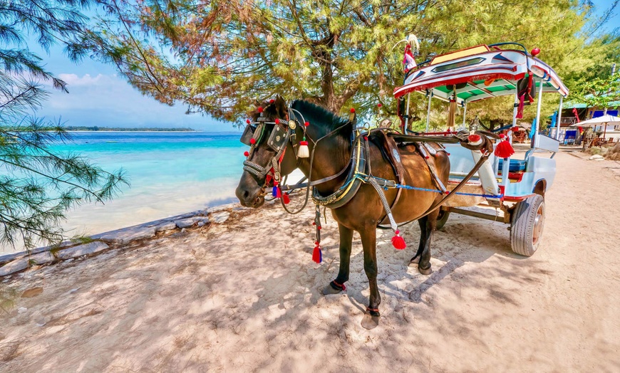 Image 13: ✈ INDONÉSIE | Bali, Gili & Nusa Penida - L'indonésie de Bali à Gili...