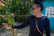 Flamingo March & Pirates Adventure Tour Nassau - Second Medium