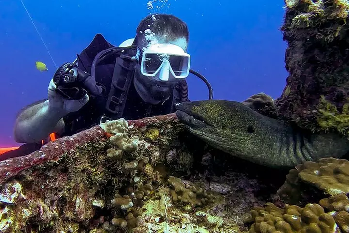 4 Hour Guided Scuba Diving Adventures in Waikiki