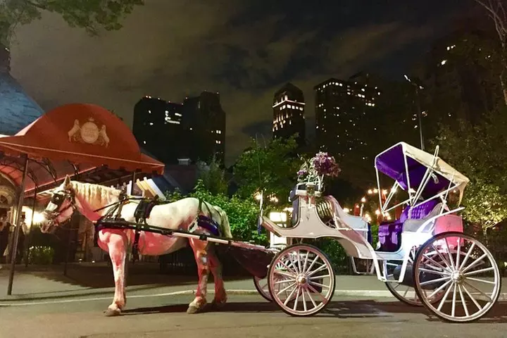 Horse Carriage Romantic Ride (VIP-Private) in Central Park 1964