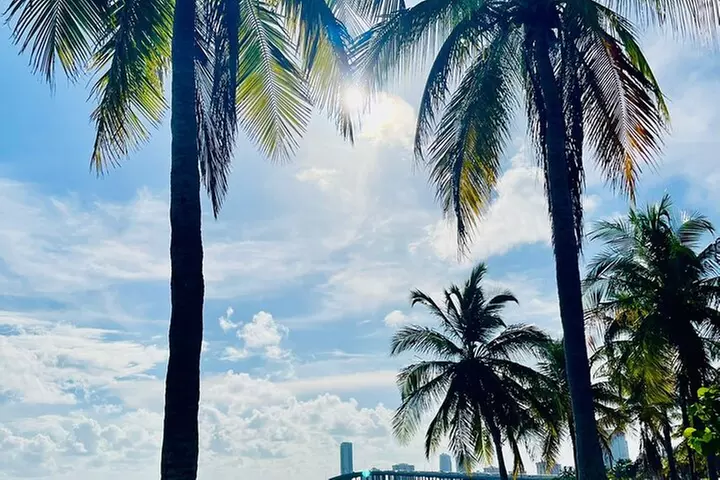 Start Here!! Traveler's Guide to Experience Miami 6-hour Tour