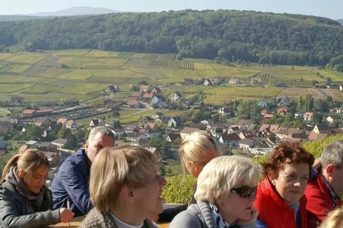 Excursion privée : Excursion d'une journée dans les villages d'Alsace avec dégustation de vin au départ de Colmar - Primary Image